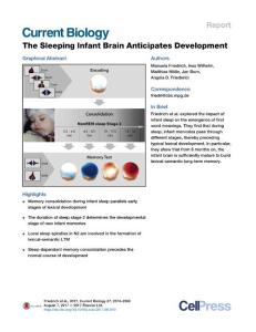 Current-Biology_2017_The-Sleeping-Infant-Brain-Anticipates-Development