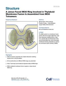 Structure_2017_A-Janus-Faced-IM30-Ring-Involved-in-Thylakoid-Membrane-Fusion-Is-Assembled-from-IM30-Tetramers