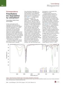 Current-Biology_2017_Polyethylene-bio-degradation-by-caterpillars-