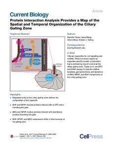 Current-Biology_2017_Protein-Interaction-Analysis-Provides-a-Map-of-the-Spatial-and-Temporal-Organization-of-the-Ciliary-Gating-Zone