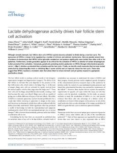 ncb3575-Lactate dehydrogenase activity drives hair follicle stem cell activation