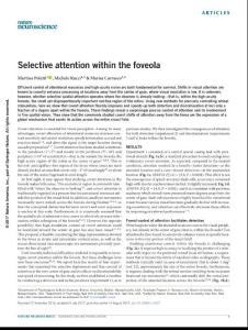 nn.4622-Selective attention within the foveola