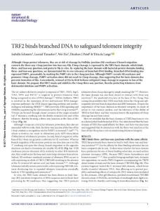 nsmb.3451-TRF2 binds branched DNA to safeguard telomere integrity