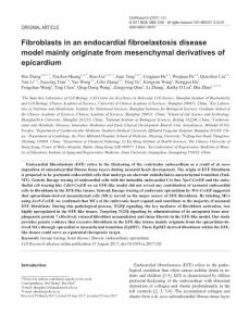 cr2017103a-Fibroblasts in an endocardial fibroelastosis disease model mainly originate from mesenchymal derivatives of epicardium