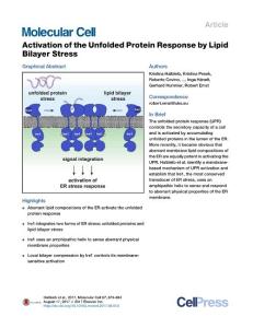 Molecular-Cell_2017_Activation-of-the-Unfolded-Protein-Response-by-Lipid-Bilayer-Stress