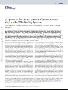 nsmb.3452-p53 pulses lead to distinct patterns of gene expression albeit similar DNA-binding dynamics
