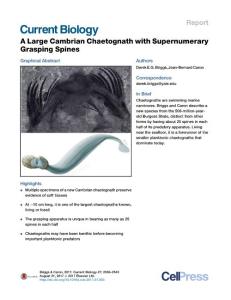 Current-Biology_2017_A-Large-Cambrian-Chaetognath-with-Supernumerary-Grasping-Spines