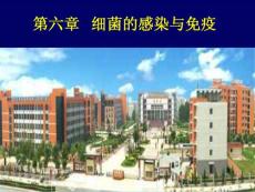 第6章  細(xì)菌的感染與免疫課件