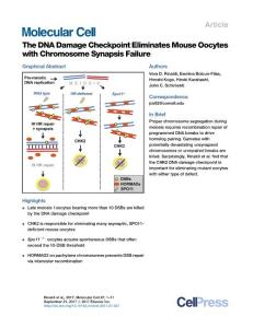 Molecular-Cell_2017_The-DNA-Damage-Checkpoint-Eliminates-Mouse-Oocytes-with-Chromosome-Synapsis-Failure