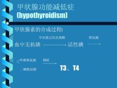甲减 ppt课件