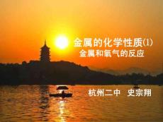 SZX金属与氧气反应