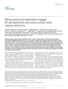 ncb3596-Mitochondrial permeabilization engages NF-κB-dependent anti-tumour activity under caspase deficiency-1