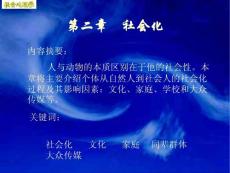 第二章社会化