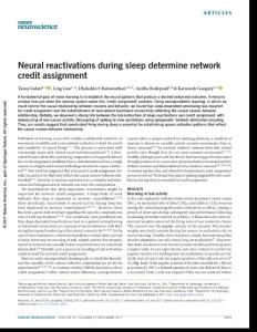 nn.4601-Neural reactivations during sleep determine network credit assignment