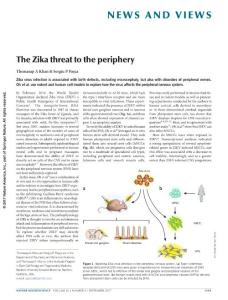 nn.4633-The Zika threat to the periphery