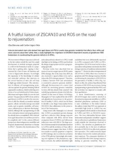 ncb3602-A fruitful liaison of ZSCAN10 and ROS on the road to rejuvenation