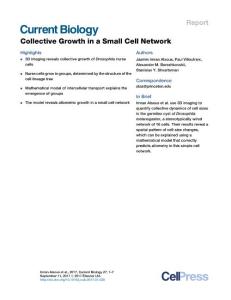 Current-Biology_2017_Collective-Growth-in-a-Small-Cell-Network