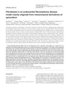 cr2017103a-Fibroblasts in an endocardial fibroelastosis disease model mainly originate from mesenchymal derivatives of epicardium