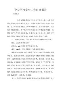 中心學(xué)校安全工作自查報(bào)告