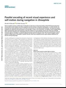 nn.4628-Parallel encoding of recent visual experience and self-motion during navigation in Drosophila