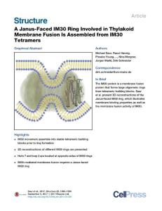 Structure_2017_A-Janus-Faced-IM30-Ring-Involved-in-Thylakoid-Membrane-Fusion-Is-Assembled-from-IM30-Tetramers
