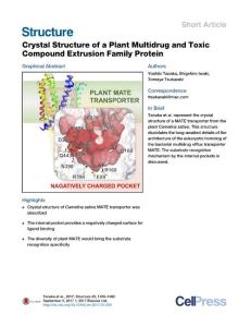 Structure_2017_Crystal-Structure-of-a-Plant-Multidrug-and-Toxic-Compound-Extrusion-Family-Protein