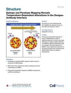 Structure_2017_Epitope-and-Paratope-Mapping-Reveals-Temperature-Dependent-Alterations-in-the-Dengue-Antibody-Interface