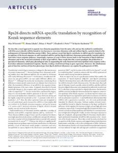 nsmb.3442-Rps26 directs mRNA-specific translation by recognition of Kozak sequence elements