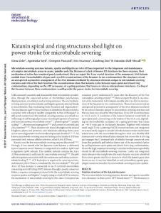 nsmb.3448-Katanin spiral and ring structures shed light on power stroke for microtubule severing