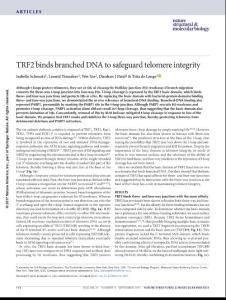 nsmb.3451-TRF2 binds branched DNA to safeguard telomere integrity