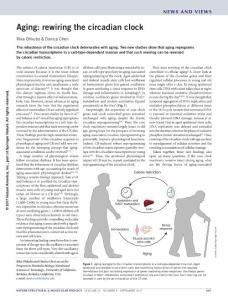 nsmb.3461-Aging rewiring the circadian clock