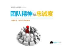團隊精神及忠誠度.pdf