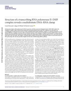 nsmb.3465-Structure of a transcribing RNA polymerase II–DSIF complex reveals a multidentate DNA–RNA clamp
