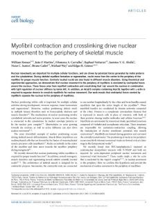 ncb3605-Myofibril contraction and crosslinking drive nuclear movement to the periphery of skeletal muscle-1