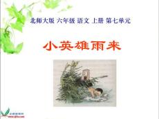 北师大版六年级语文上册《小英雄雨来》课件