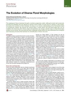 Current-Biology_2017_The-Evolution-of-Diverse-Floral-Morphologies