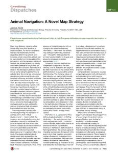 Current-Biology_2017_Animal-Navigation-A-Novel-Map-Strategy