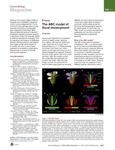Current-Biology_2017_The-ABC-model-of-floral-development