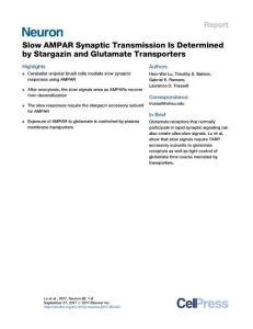 Neuron_2017_Slow-AMPAR-Synaptic-Transmission-Is-Determined-by-Stargazin-and-Glutamate-Transporters