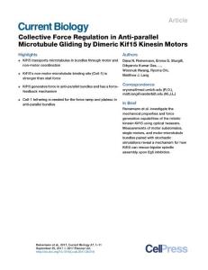 Current-Biology_2017_Collective-Force-Regulation-in-Anti-parallel-Microtubule-Gliding-by-Dimeric-Kif15-Kinesin-Motors