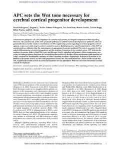 Genes Dev.-2017-Nakagawa-APC sets the Wnt tone necessary for cerebral cortical progenitor development