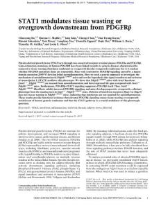 Genes Dev.-2017-He-STAT1 modulates tissue wasting or overgrowth downstream from PDGFRβ