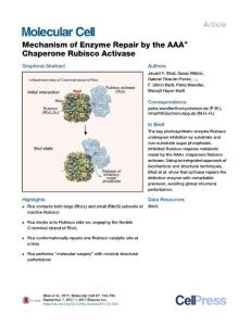 Molecular-Cell_2017_Mechanism-of-Enzyme-Repair-by-the-AAA-Chaperone-Rubisco-Activase