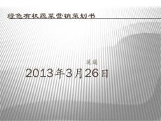绿色有机蔬菜营销策划书.ppt.ppt