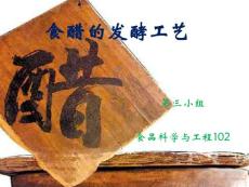 食醋的發(fā)酵工藝ppt.ppt