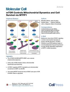 mTOR-Controls-Mitochondrial-Dynamics-and-Cell-Survival-via-MTFP1_2017_Molecular-Cell