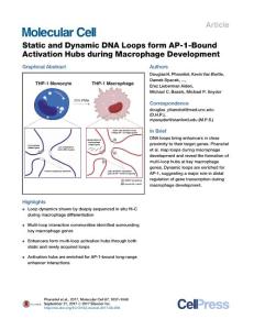 Static-and-Dynamic-DNA-Loops-form-AP-1-Bound-Activation-Hubs-during-Macrophage-Development_2017_Molecular-Cell