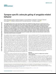 nn.4649-Synapse-specific astrocyte gating of amygdala-related behavior