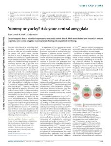 nn.4639-Yummy or yucky? Ask your central amygdala