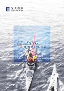 中國光大控股：2017年中報